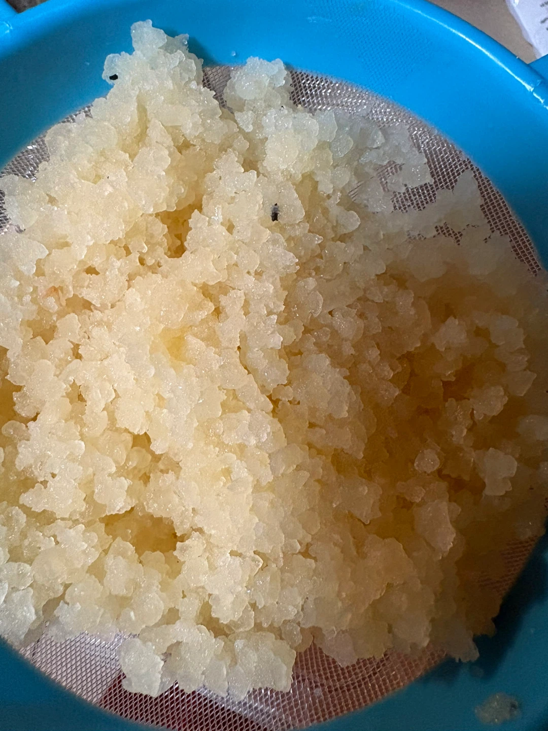Kefir de agua