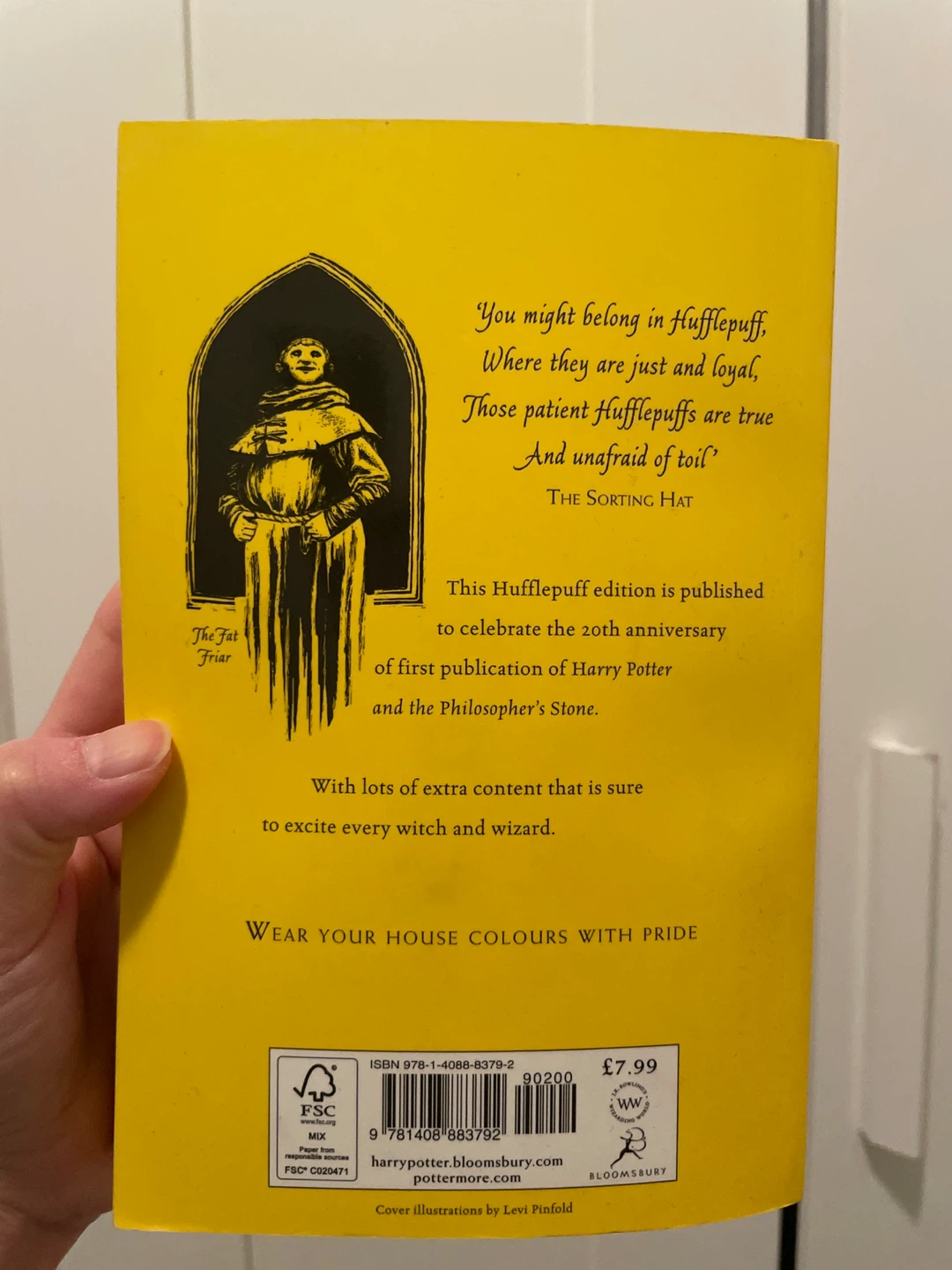 Harry Potter and the Philosopher's Stone Hufflepuff Edition - photo 2
