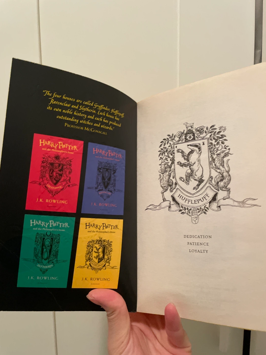 Harry Potter and the Philosopher's Stone Hufflepuff Edition - photo 3