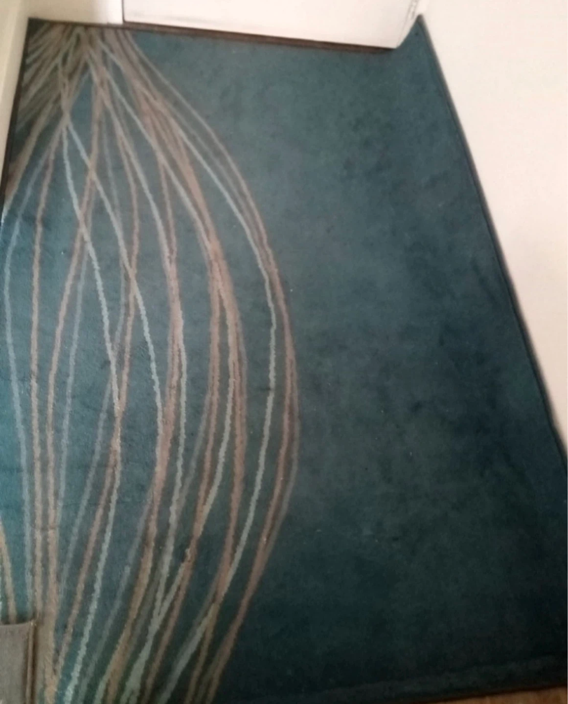 Teal Area Rug with Abstract Design - photo 2