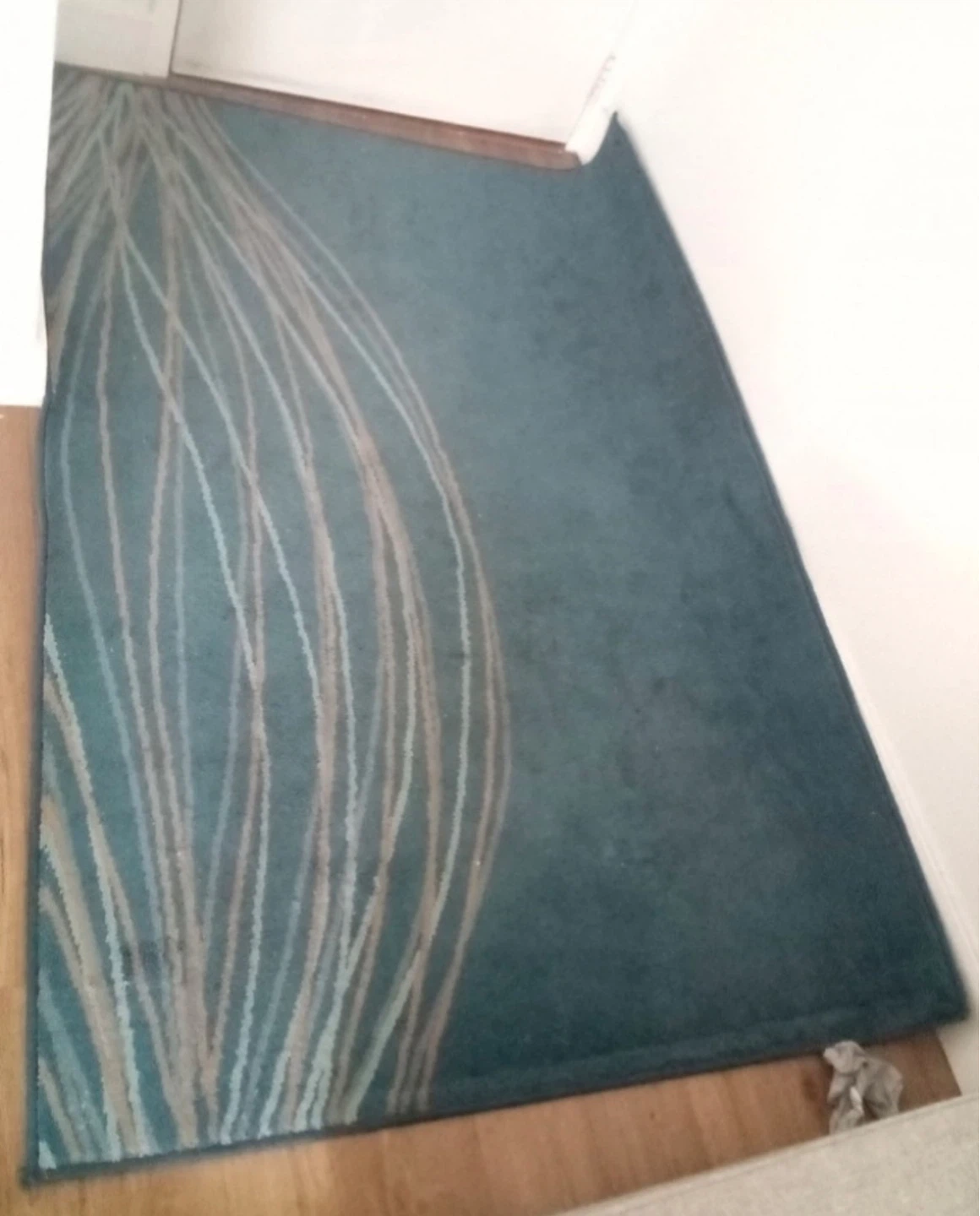 Teal Area Rug with Abstract Design