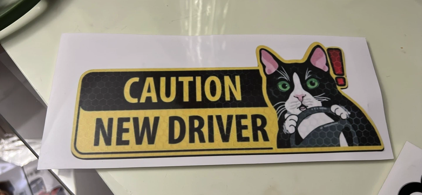 Caution New Driver Sticker - Funny Cat Design 🌱