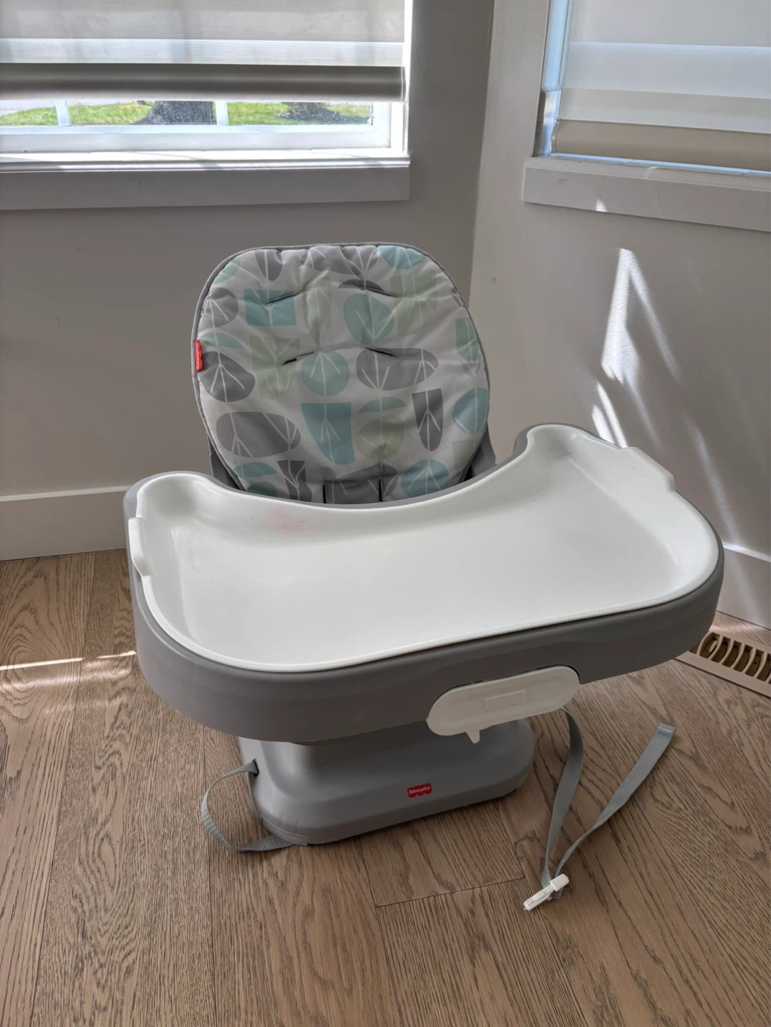 Fisher-Price Booster Seat