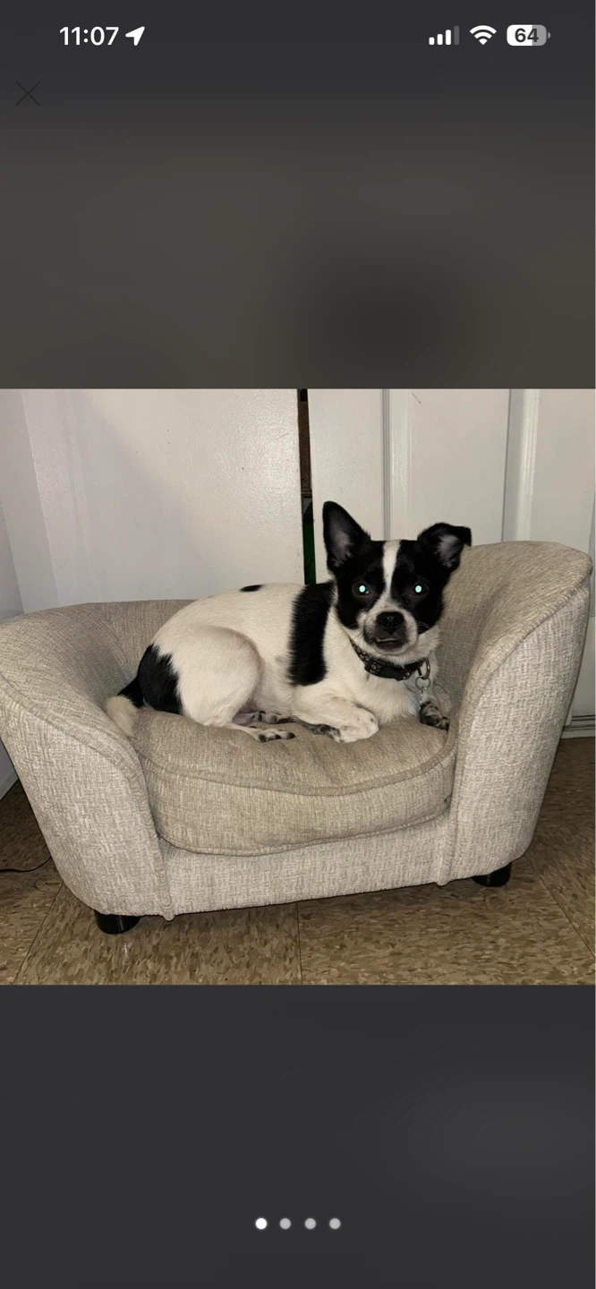 Upholstered Pet Sofa/Dog Bed - photo 2