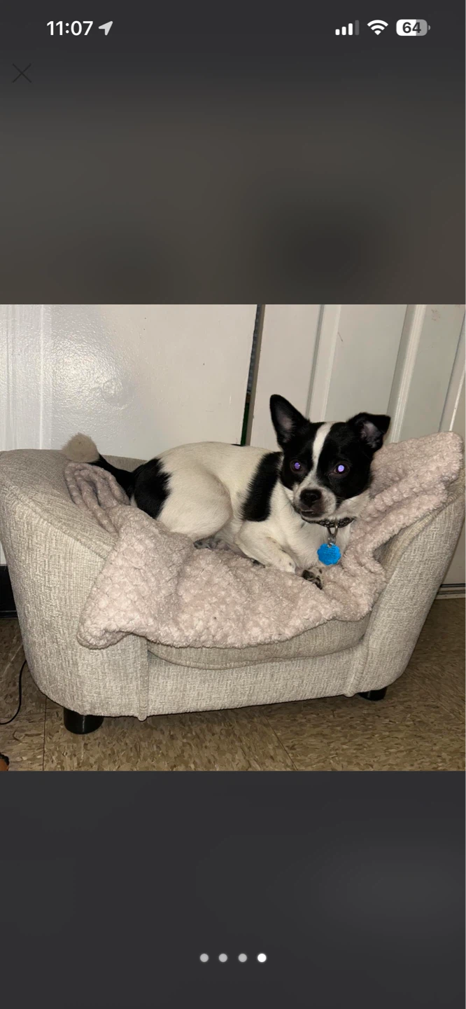 Upholstered Pet Sofa/Dog Bed