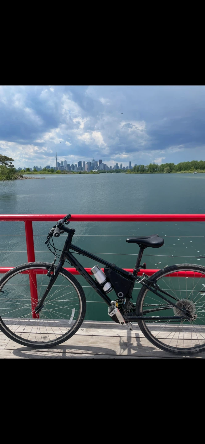 Trek FX 2 Hybrid Bike – Freshly Serviced & Ready to Ride