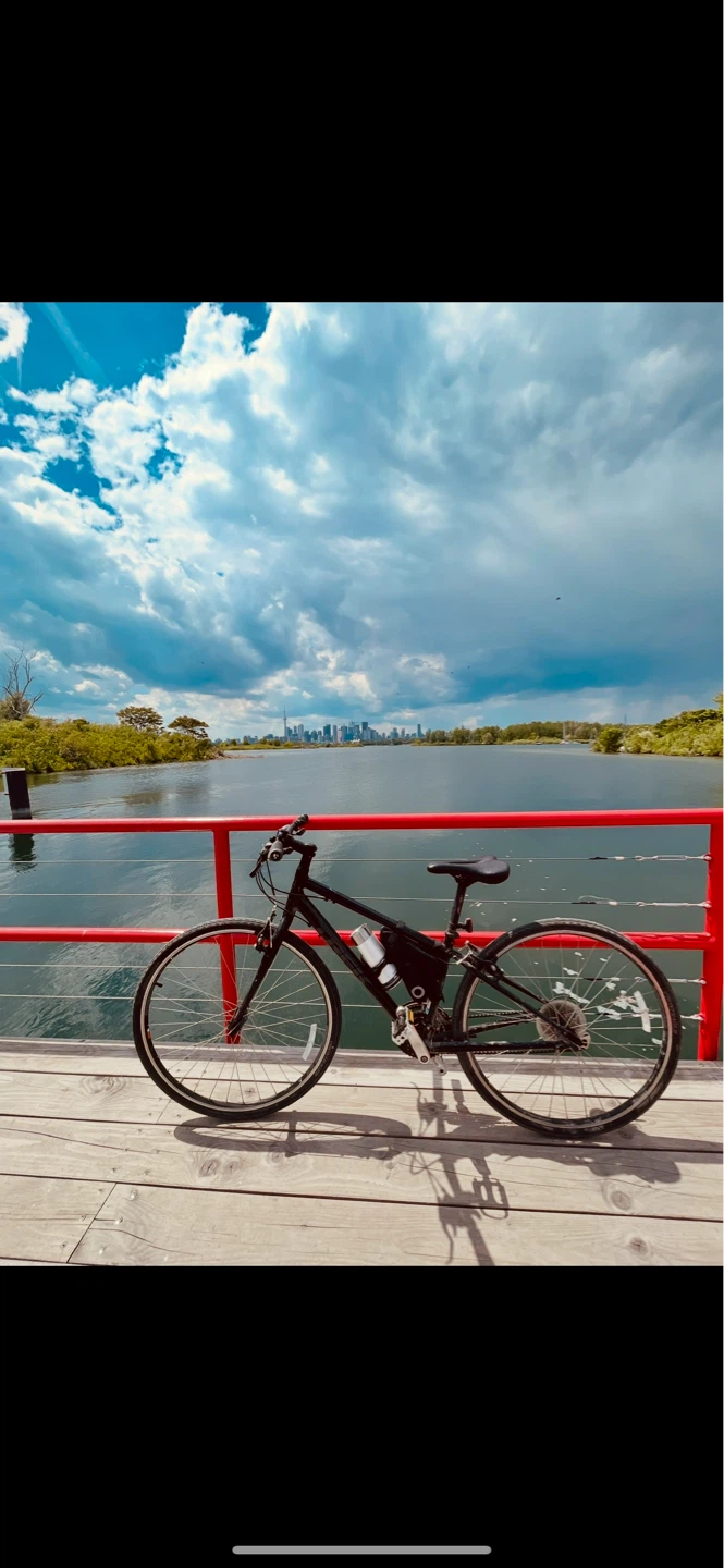 Trek FX 2 Hybrid Bike – Freshly Serviced & Ready to Ride - photo 2