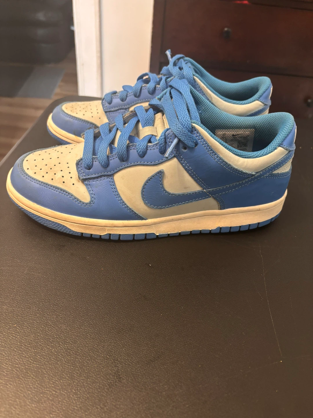 Nike Dunk Low Blue & white Sneakers