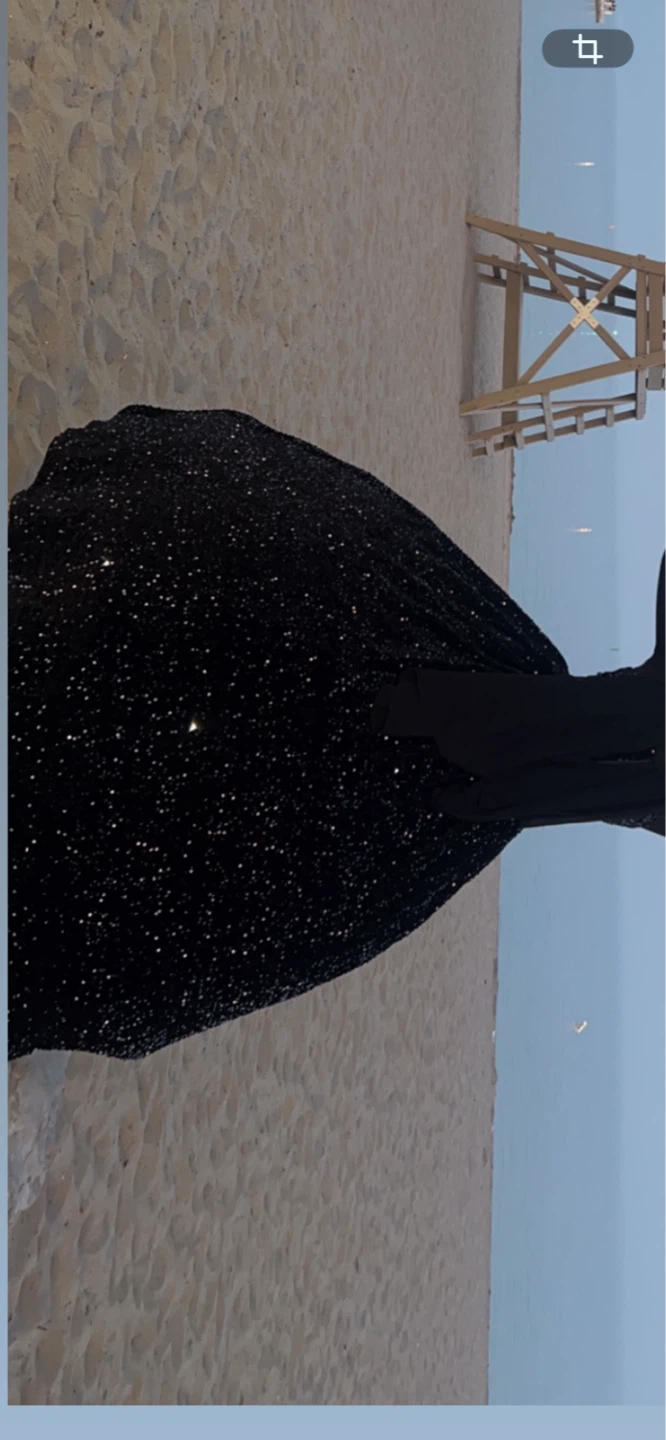 Sparkly Black Ball Gown - photo 3