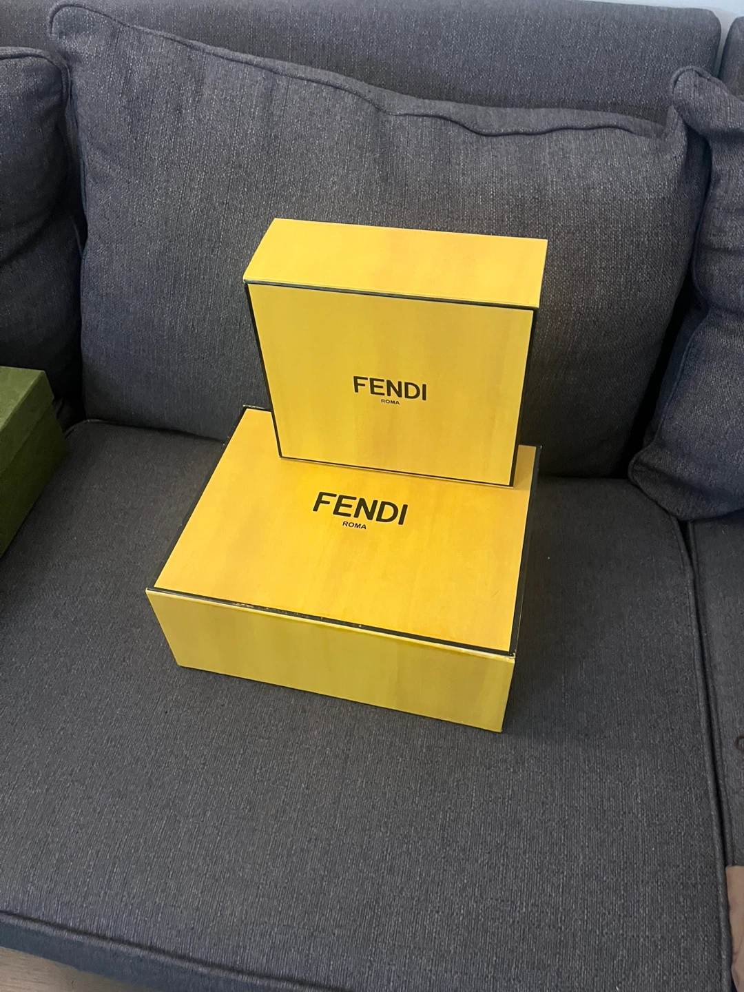Fendi Roma Gift Box 🌱 - photo 3