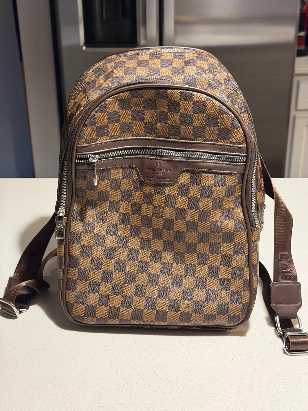 Louis Vuitton Damier Ebene Canvas Backpack