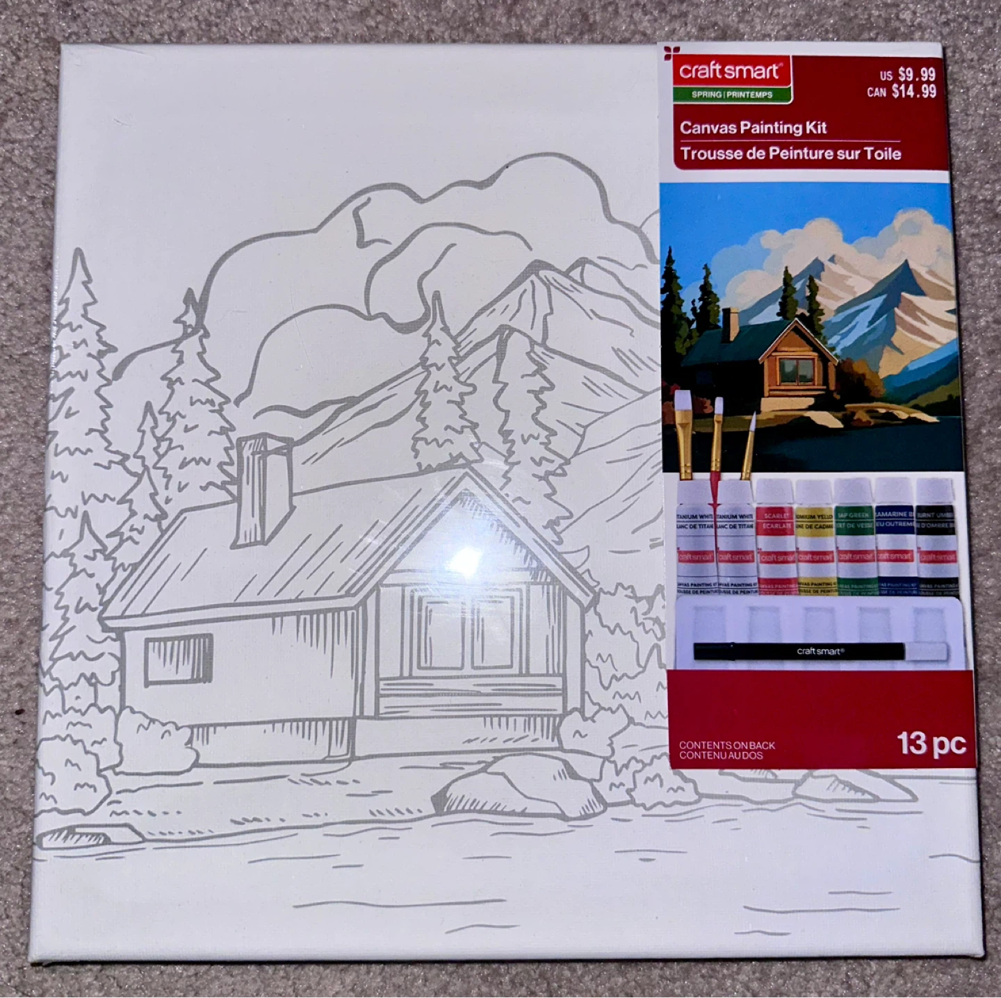 Craft Smart Canvas Painting Kit