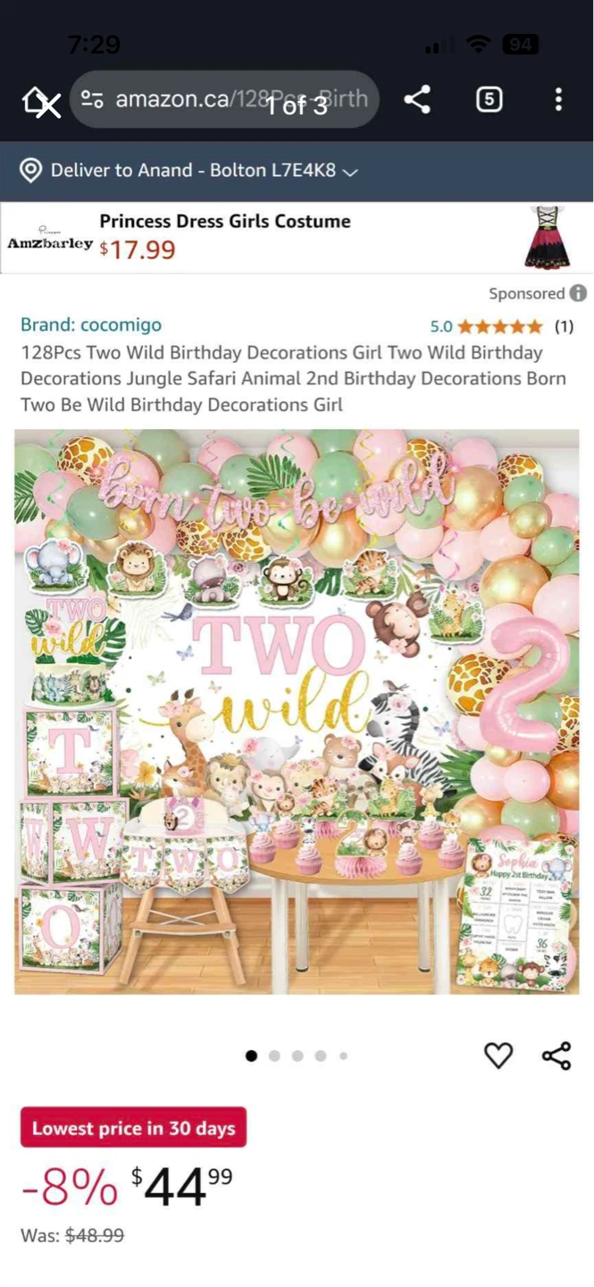 2 Year Jungle Safari Birthday decoration set