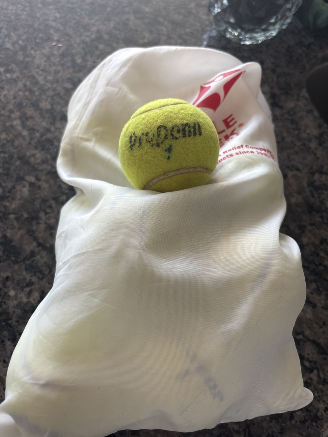 For Puppy/ dog playtime - 12 Penn Pro Tennis Balls with Bag