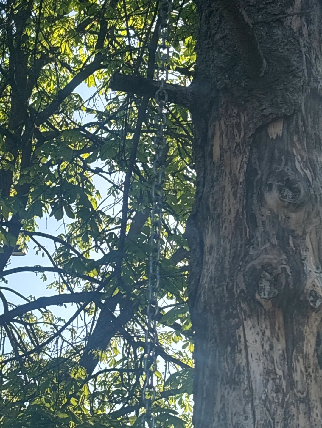 Used swing comes with chain for tree - photo 2