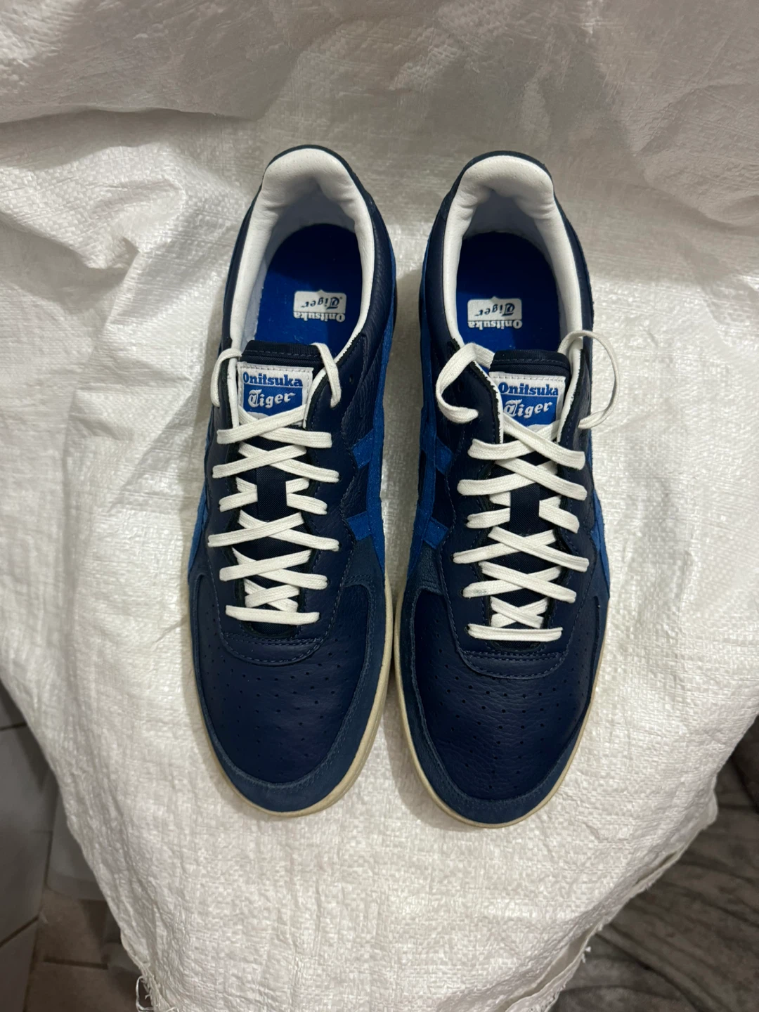 Onitsuka Tiger Blue Sneakers