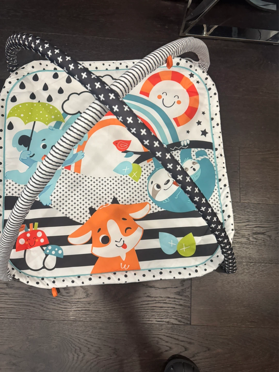 Infant Play Gym - photo 2