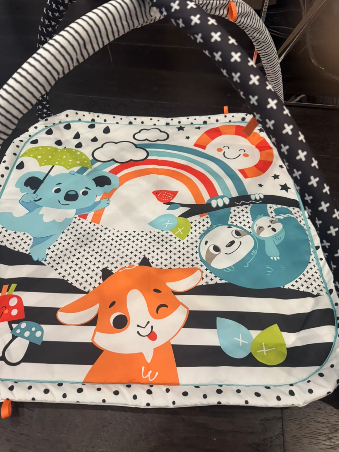 Infant Play Gym
