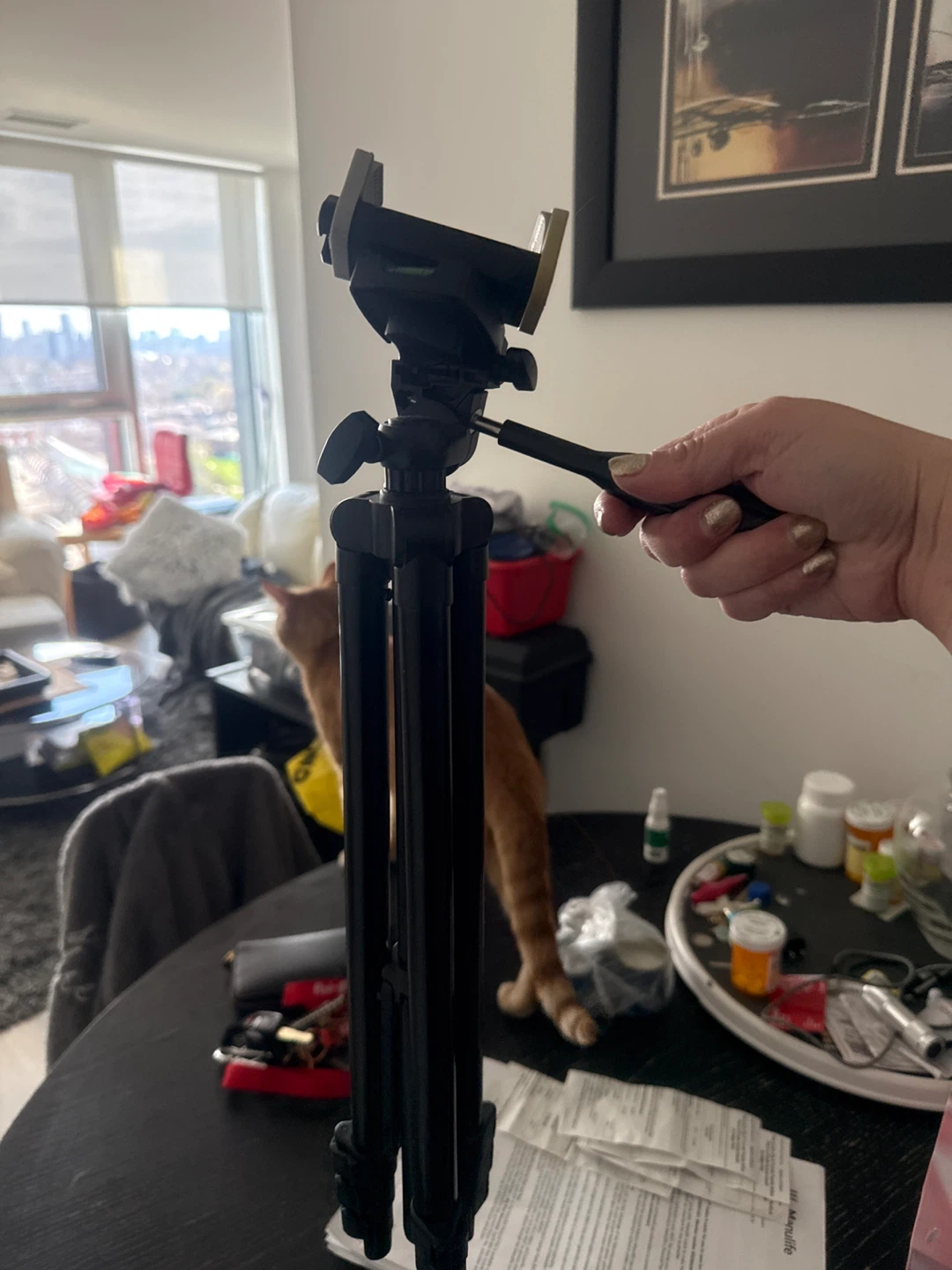 Black Tripod with Phone Mount