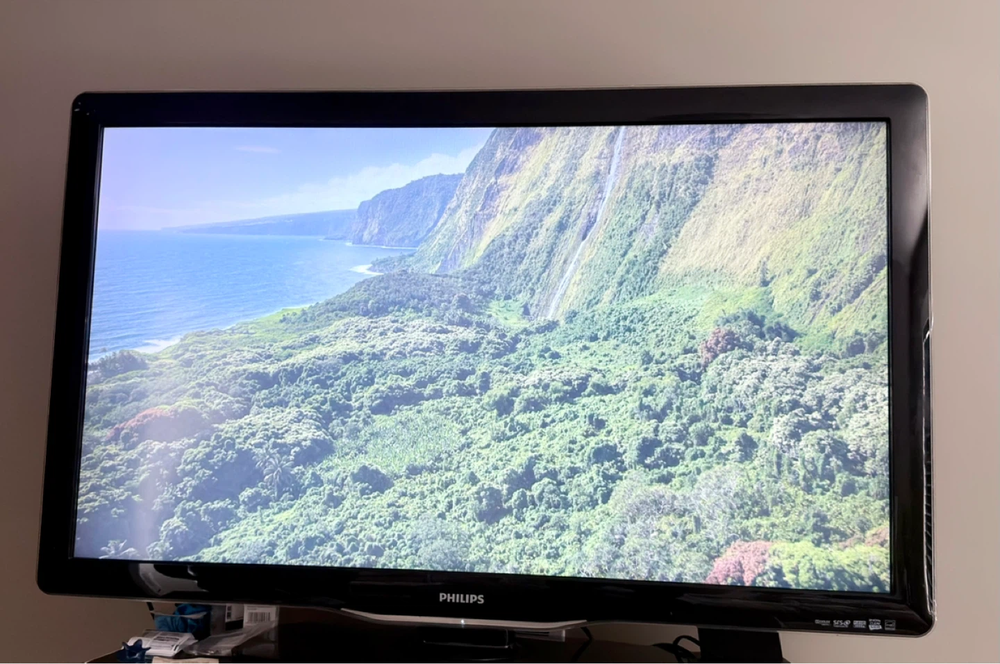 Philips 46" LCD TV