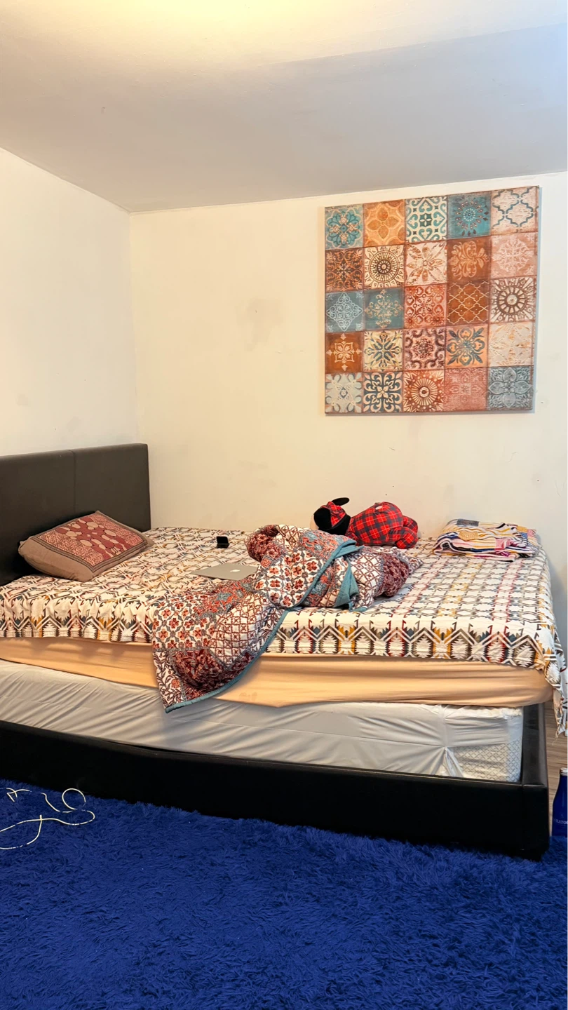 Zinus Queen Sized 10” Mattress - photo 2