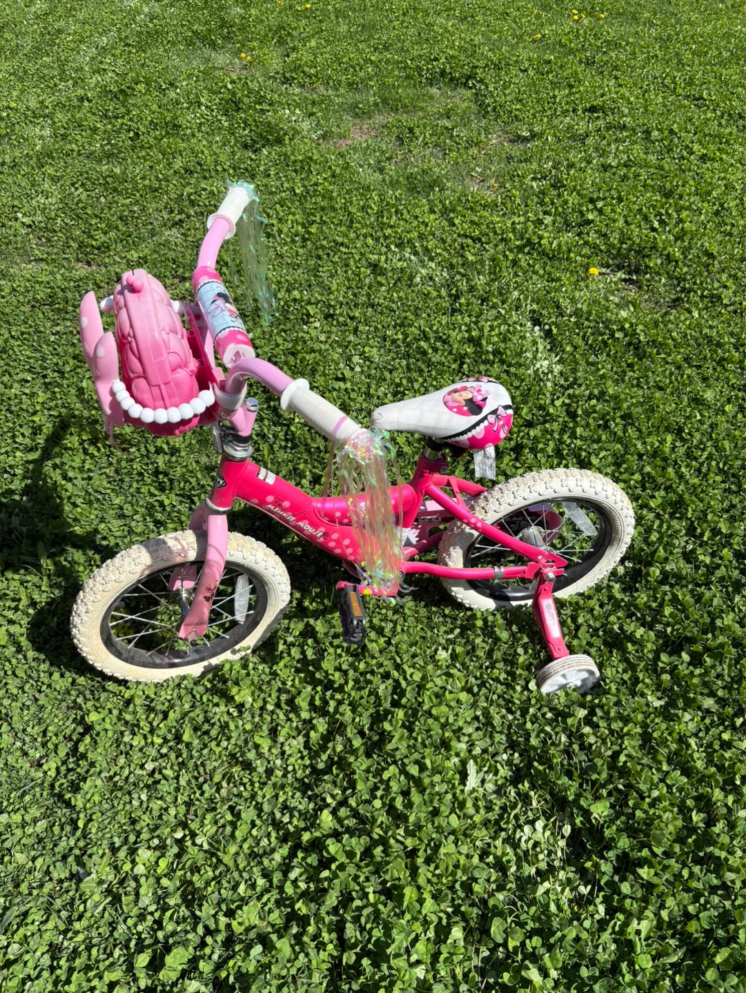 Pink Minnie Mouse Kids Bike with Training Wheels