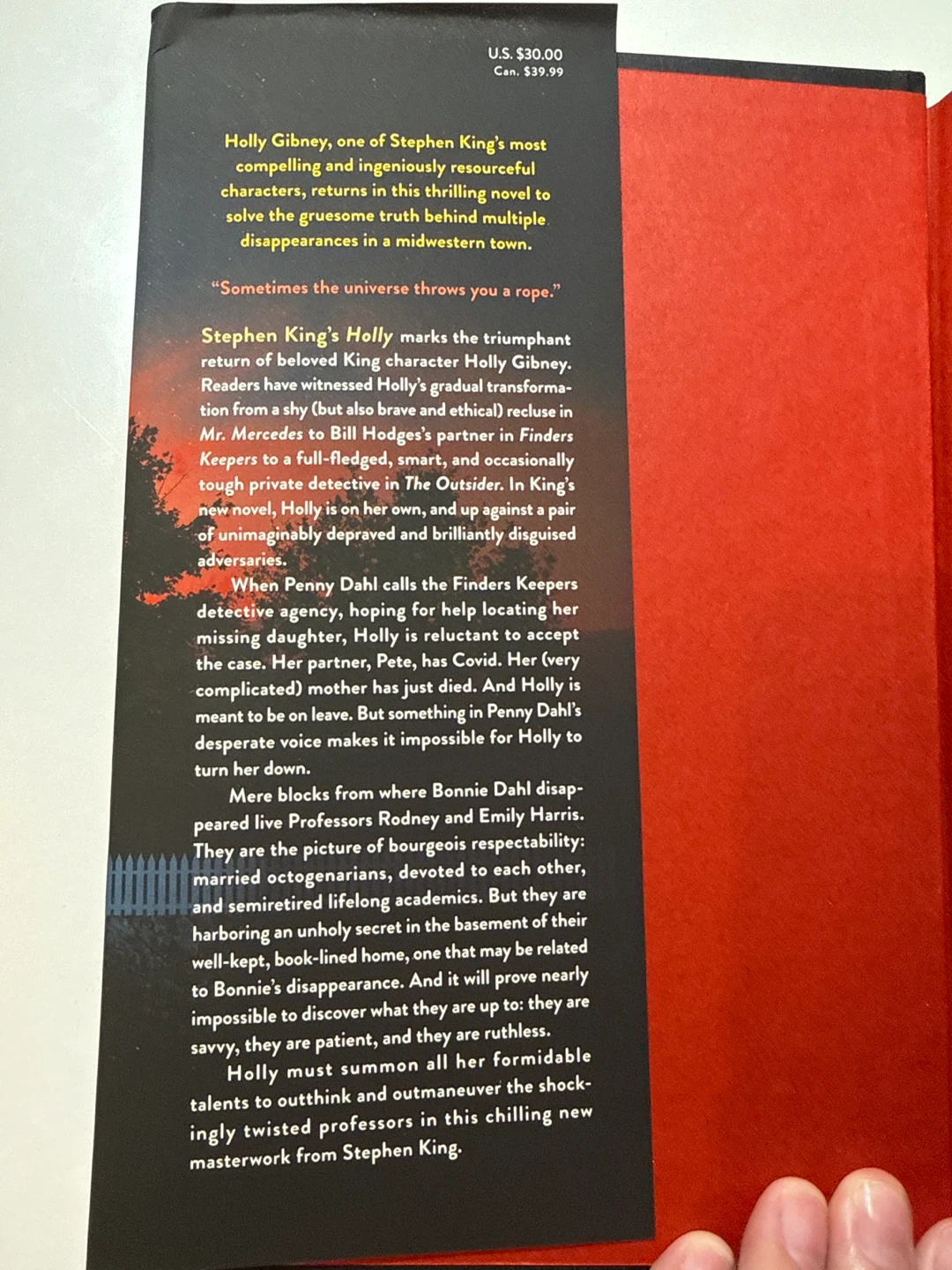 Stephen King “Holly” - photo 3