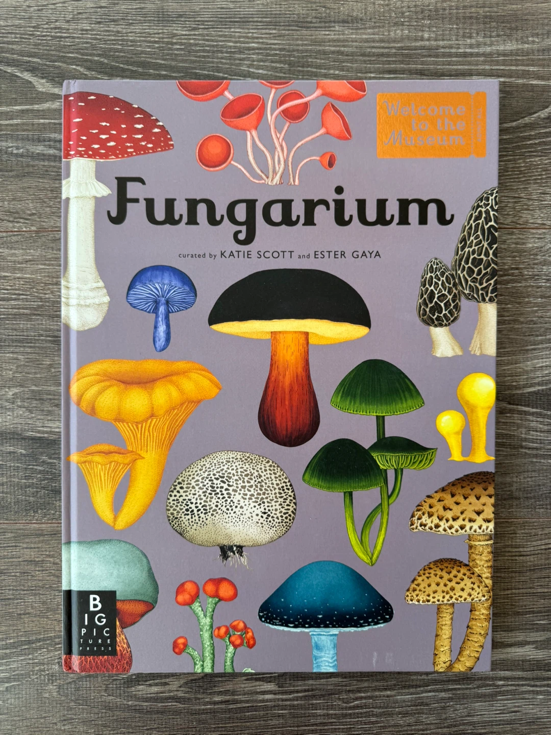 Fungarium: Welcome to the Museum large book