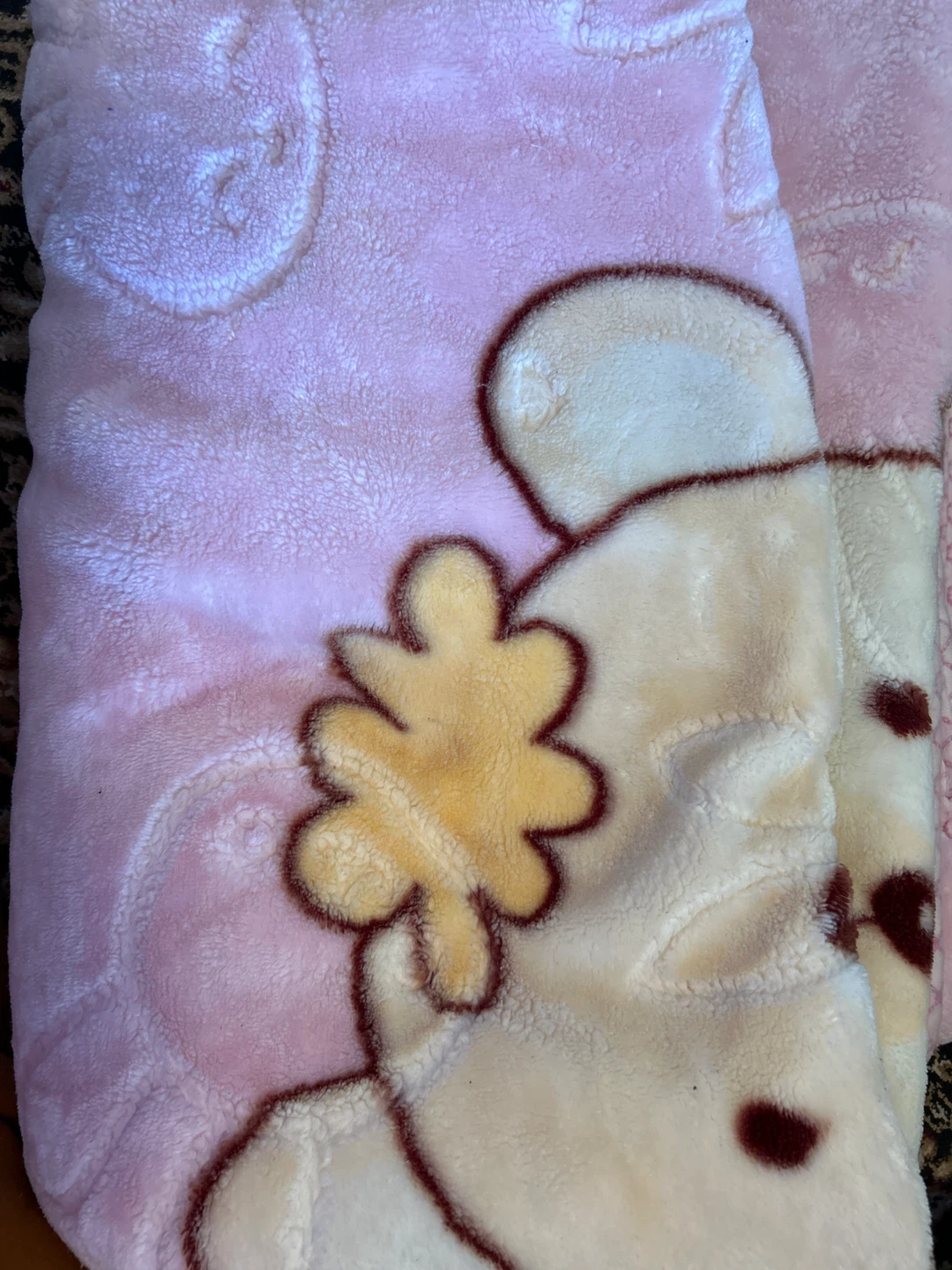 Pretty Bear Baby Blanket - photo 2
