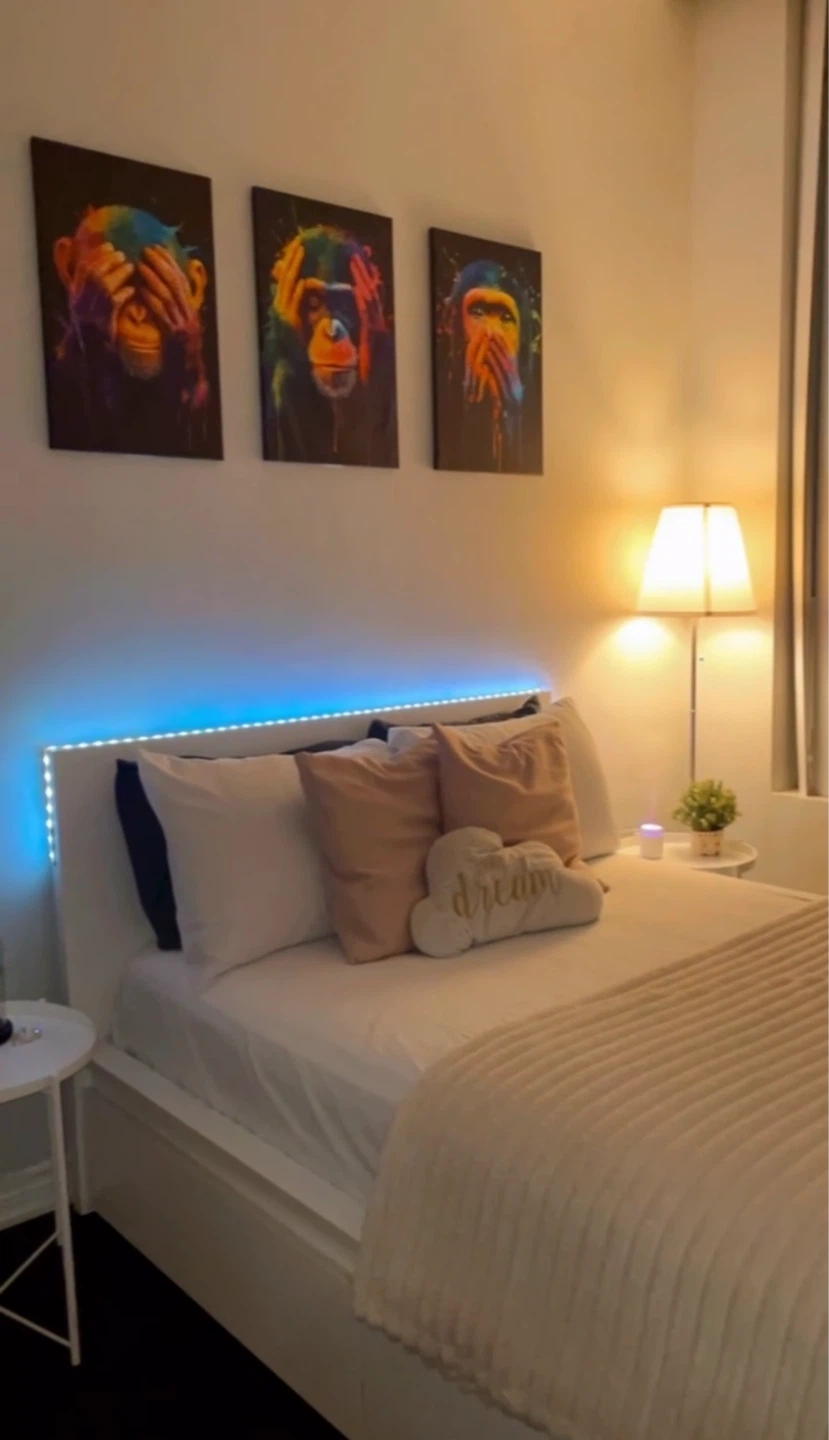 Furnished Room for Rent / Queen & Dovercourt /June