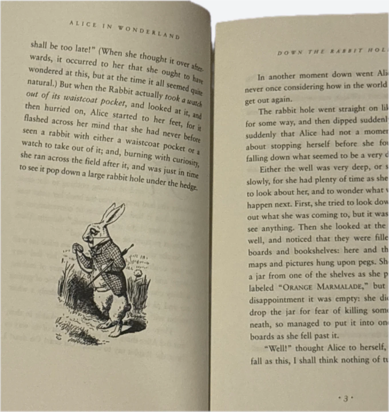 Alice in Wonderland Deluxe Edition Book - photo 3