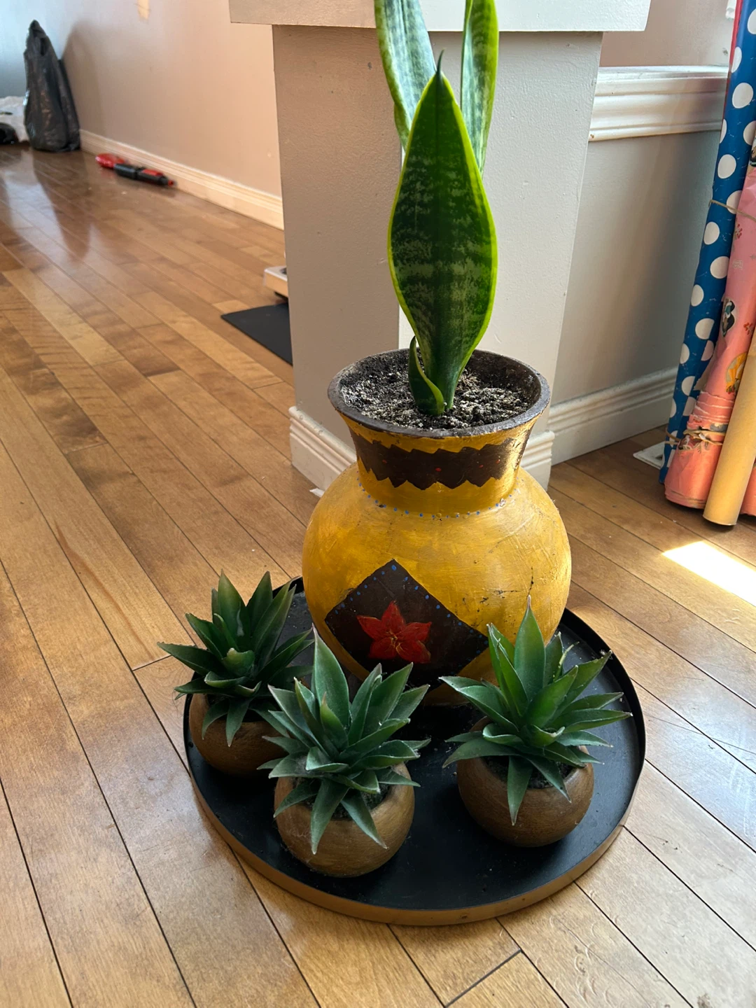 Assorted Potted Plants - photo 4