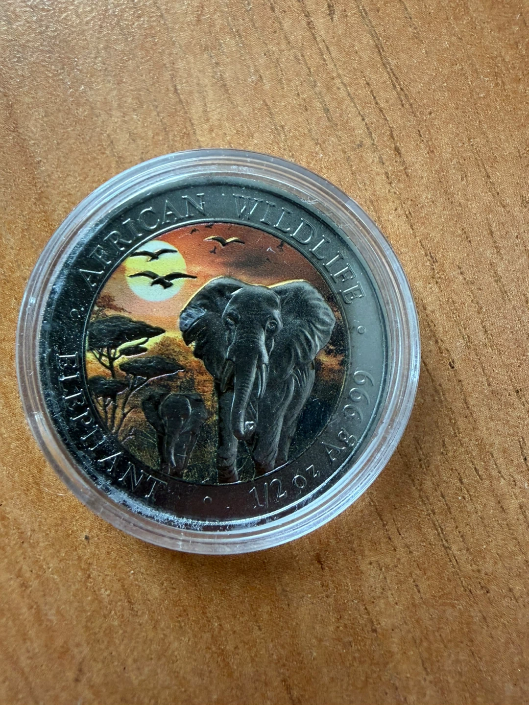 Somali Republic 50 Shillings African Elephant Coin