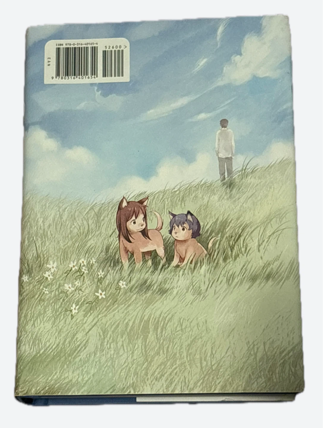 Wolf Children Ame & Yuki Manga - photo 2