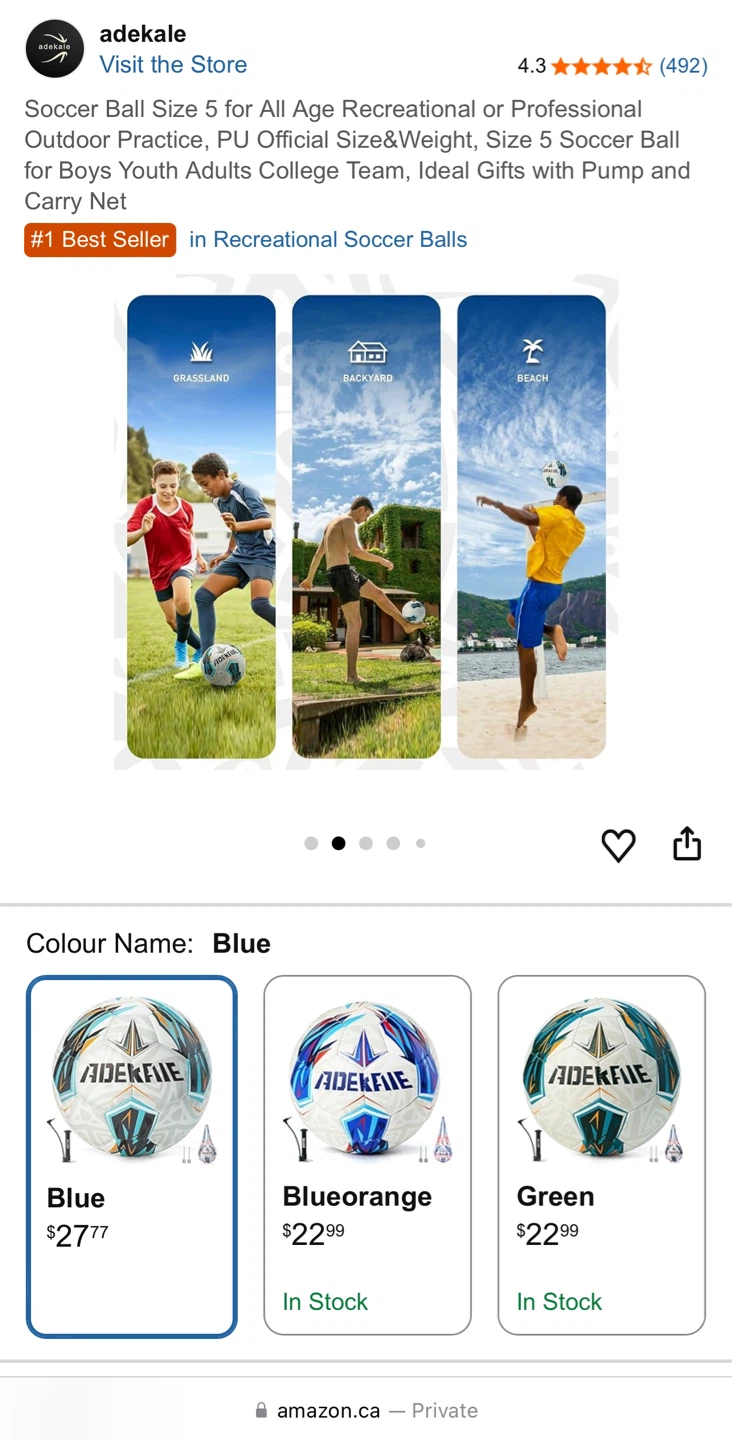 Soccer Ball with pump and net (New)🌱 - photo 4