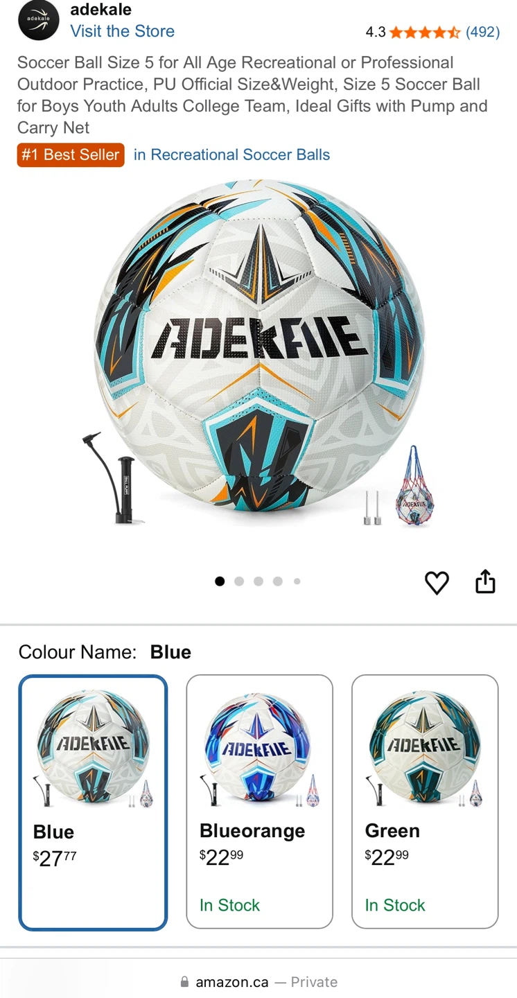 Soccer Ball with pump and net (New)🌱
