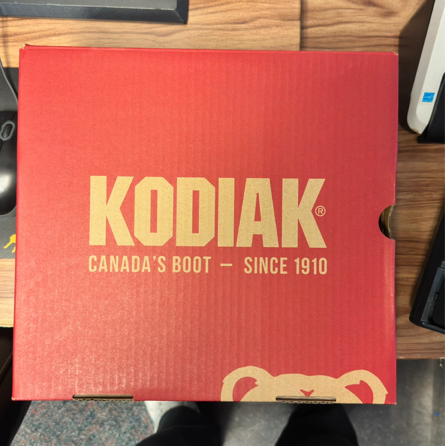 Kodiak Bralorne Composite Safety Toe Chelsea Boots - photo 5