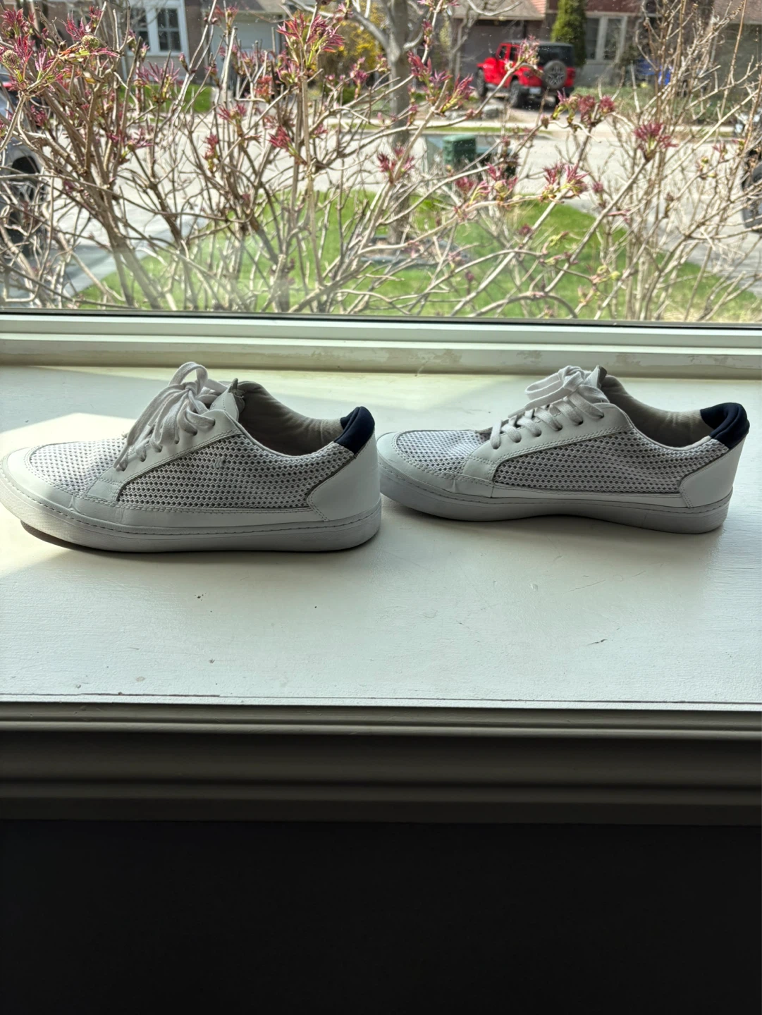 Boxfresh White Leather & Mesh Sneakers - Size 10