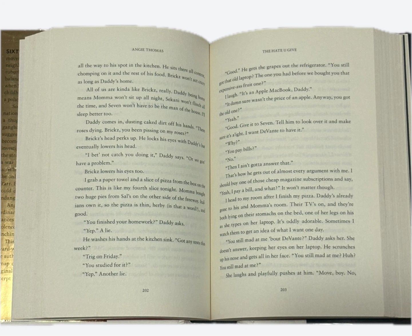 The Hate U Give Collector's Edition Book - photo 4