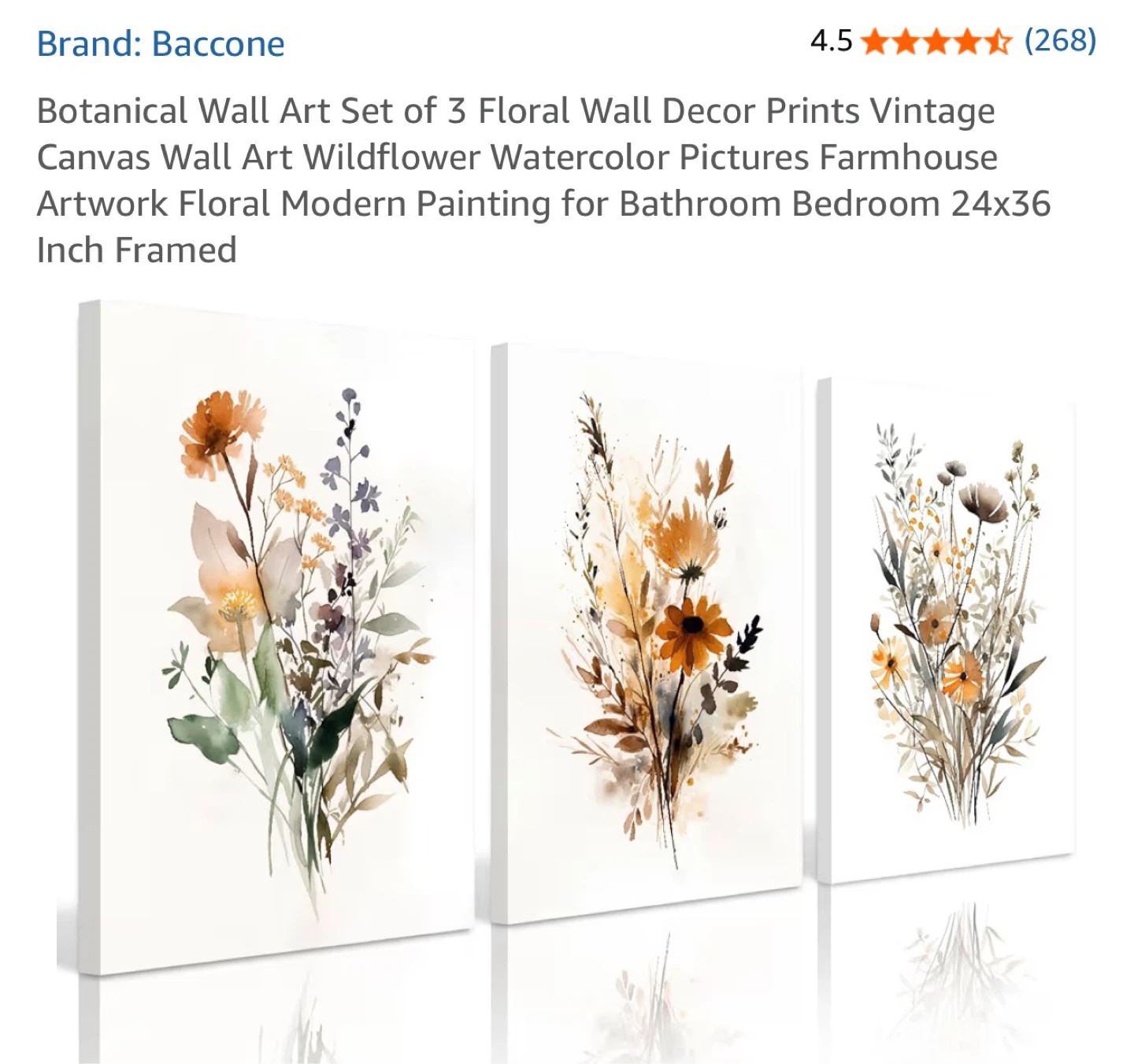 Bacccone Botanical Wall Art Set of 3 Floral Canvas Prints - photo 4