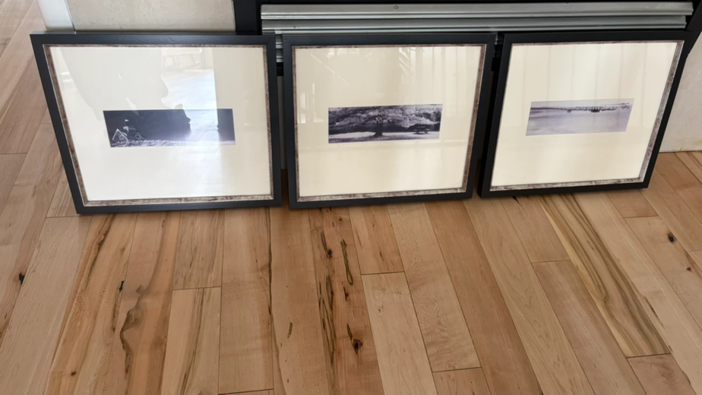 Set of 3 Framed Black and White Prints