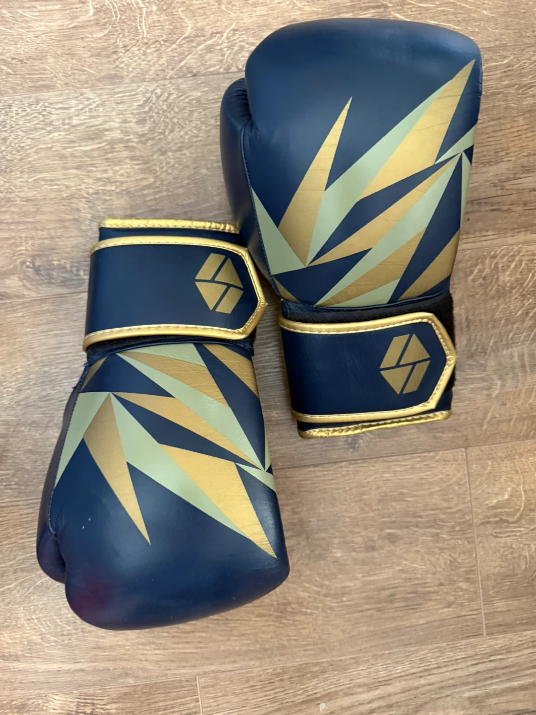 Society Nine 12oz Boxing Gloves