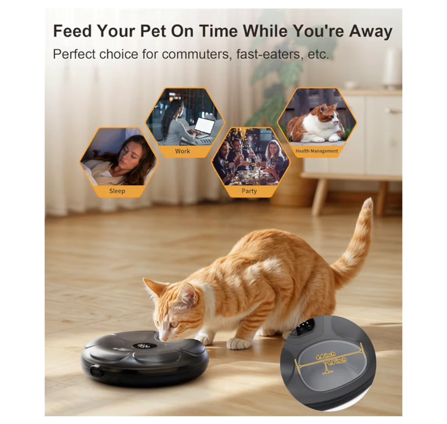 CASFUY Automatic Pet Feeder - Grey