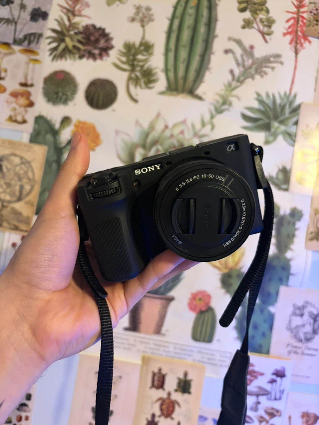 Sony Alpha a6700 Mirrorless Camera w/3 lenses