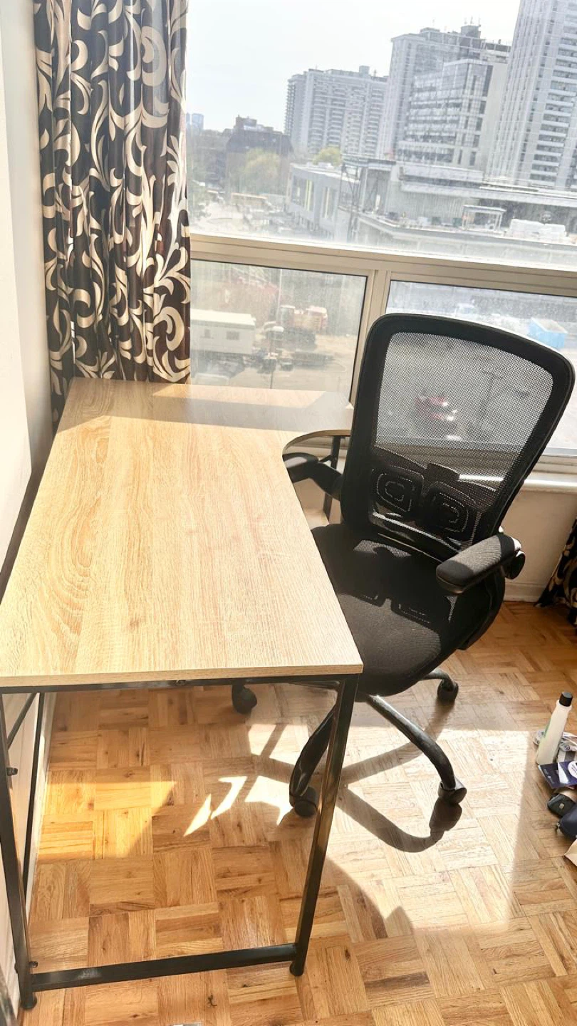 Moving Sale- Sofa Bed + Office Chairs + Desk