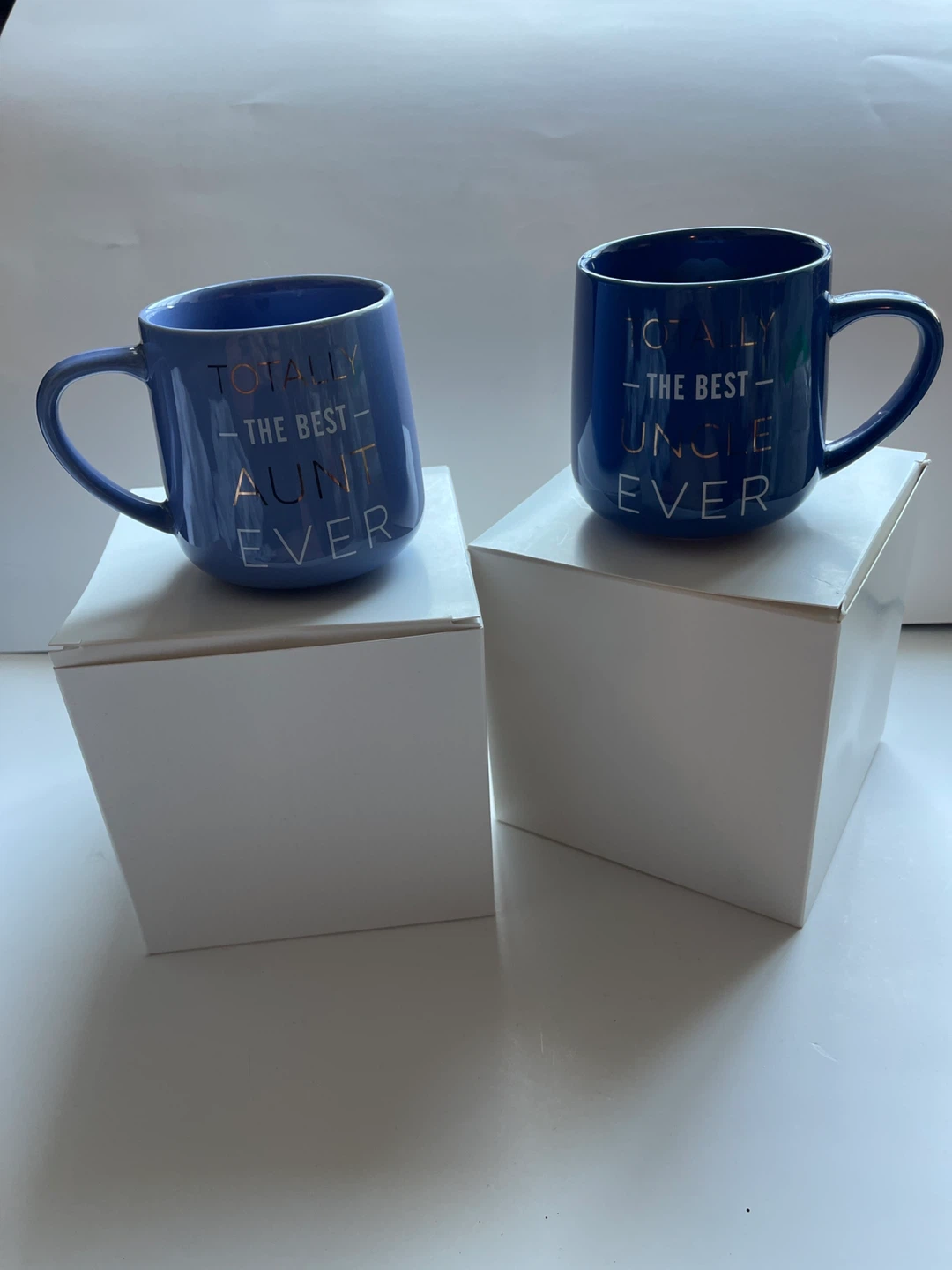 Best Aunt & Uncle Ever Mugs