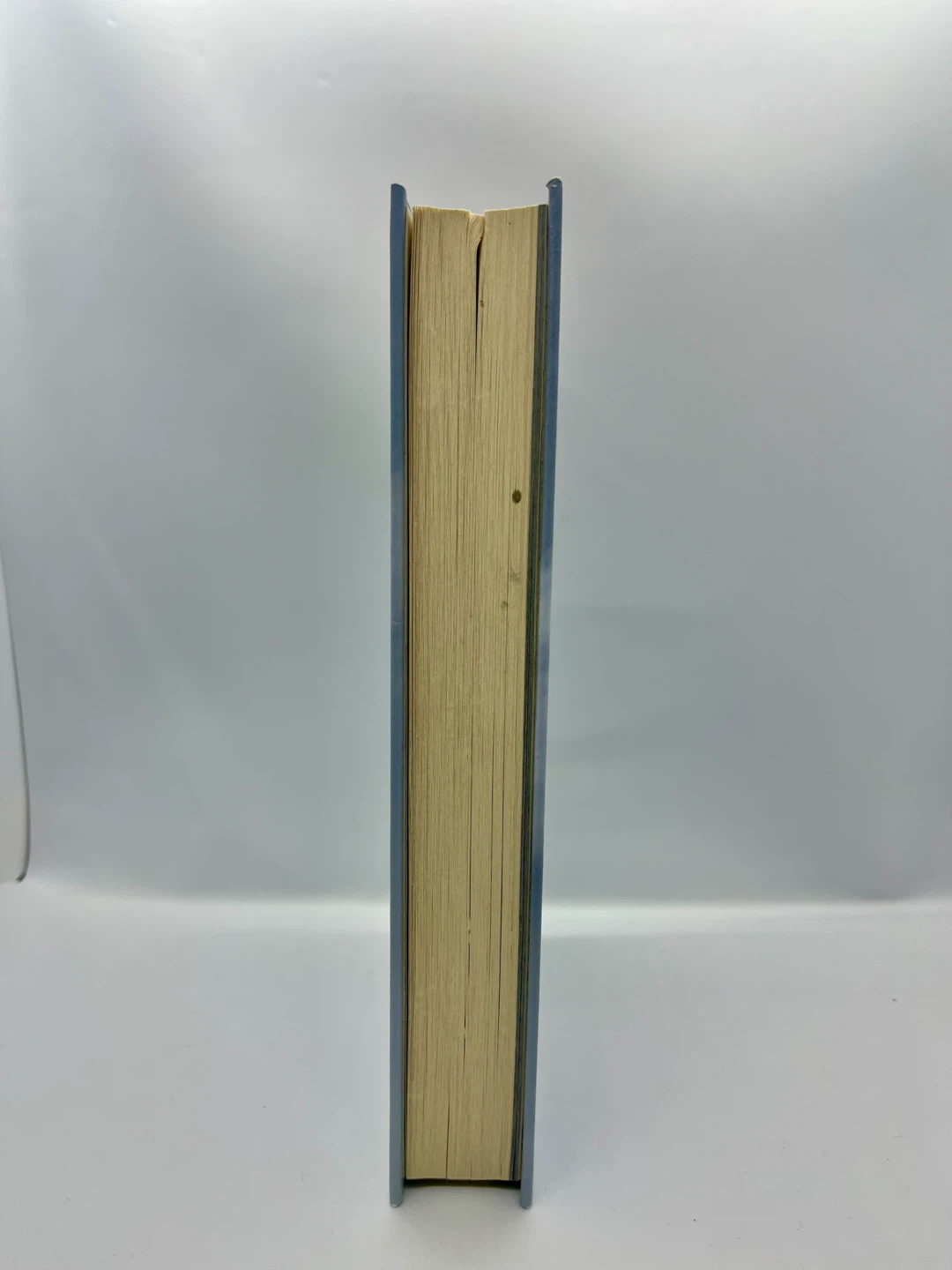 The Witcher: The Last Wish (Hard Cover) - photo 5