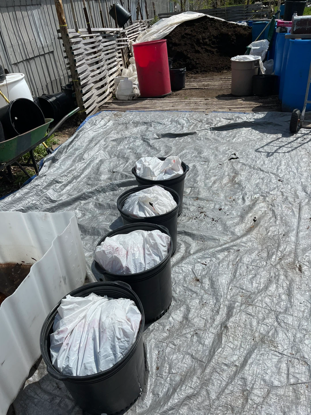 Mushroom Compost - photo 5