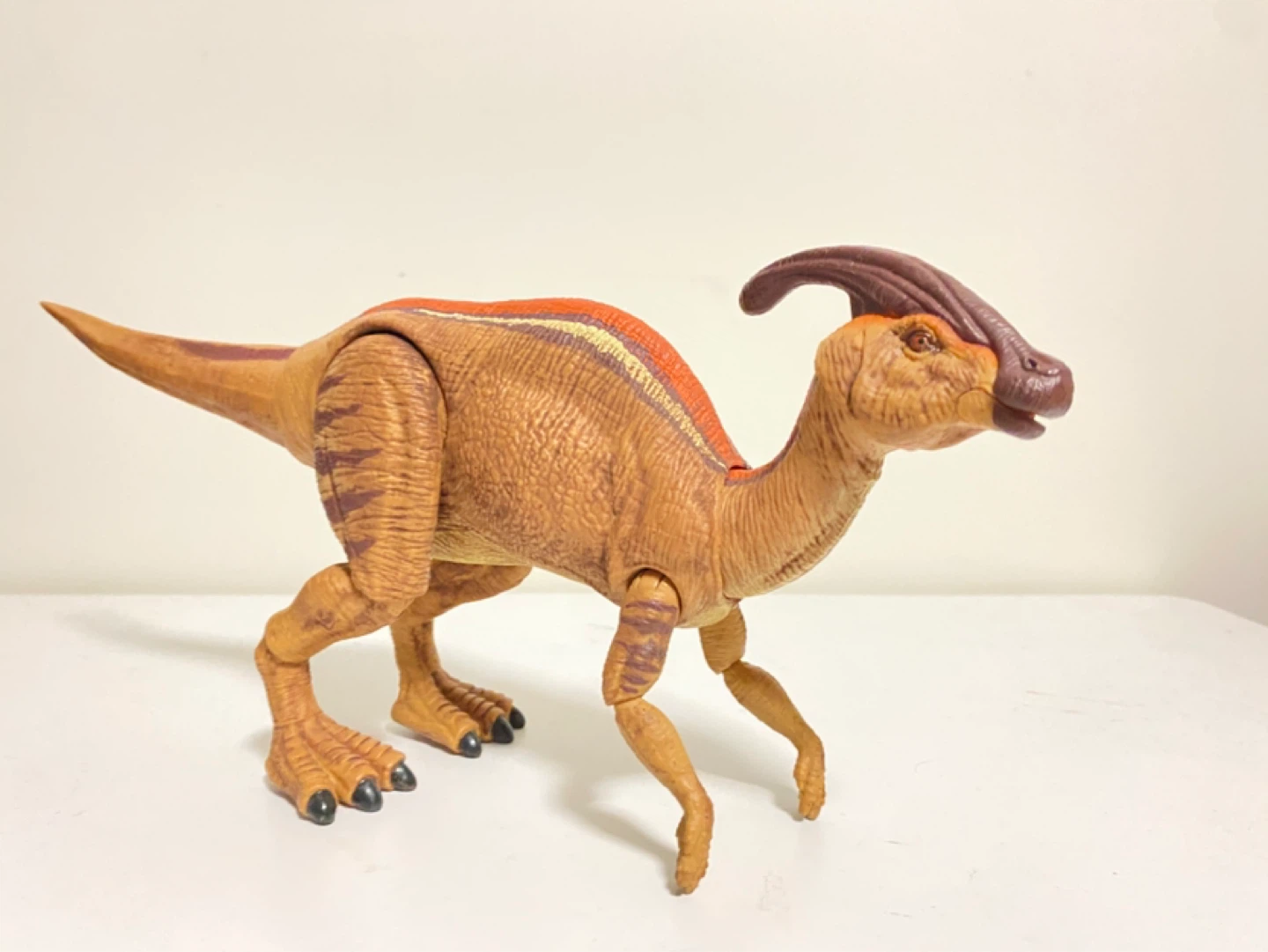 Hammond collection parasaurolophus