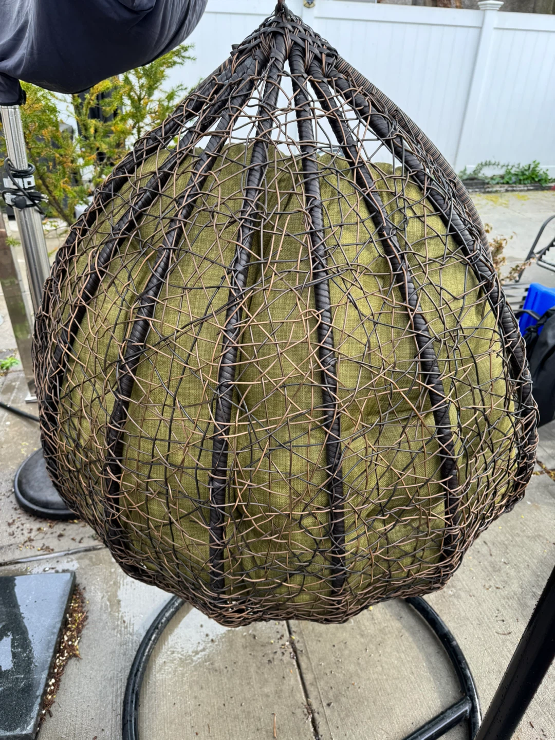 Hanging Egg Chair with Green Cushion - photo 5